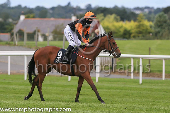 12th Shake The Heart and G F Carroll ( 9 , Black, orange spot ) Trainer - Michael Mulvany , Owner - Thomas G Cooke