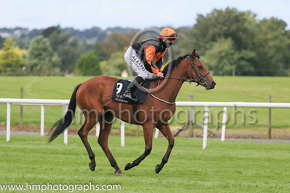 12th Shake The Heart and G F Carroll ( 9 , Black, orange spot ) Trainer - Michael Mulvany , Owner - Thomas G Cooke