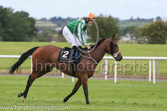 06th Blue Cabochon and C D Hayes ( 2 , Black, red star ) Trainer - J A Stack , Owner - Ms Mary Slack