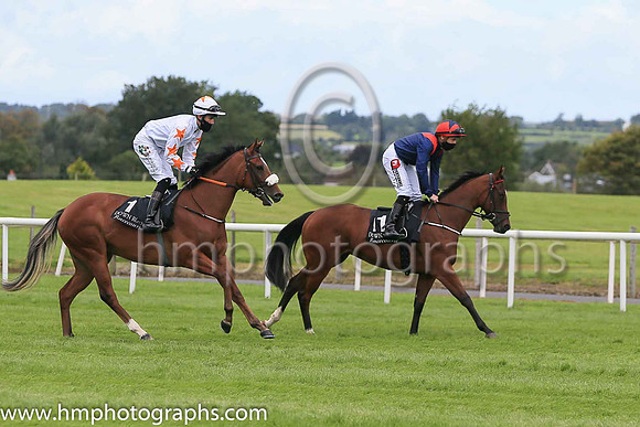 08th Ablah and S M Mooney ( 1 , White ) Trainer - A McGuinness , Owner - Phoenix Thoroughbred Limited