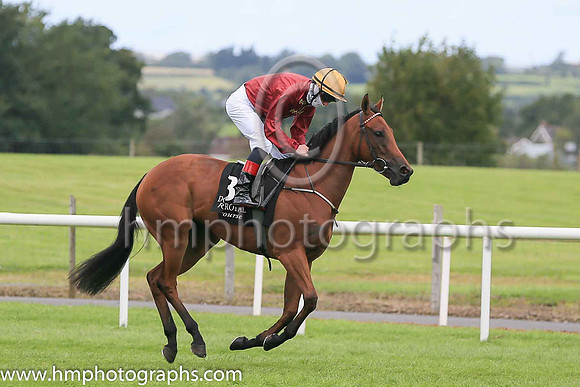 05th Colfer Kay and W J Lee ( 3 , Yellow, purple seams ) Trainer - K J Coandon , Owner - Vincent Kelly