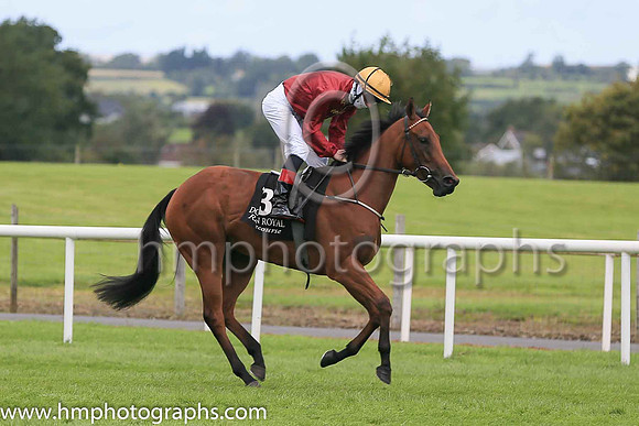 05th Colfer Kay and W J Lee ( 3 , Yellow, purple seams ) Trainer - K J Coandon , Owner - Vincent Kelly