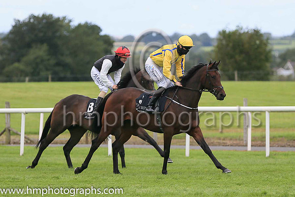 07th Roses Blue and S Foley ( 8 , Black, white sleeves ) Trainer - Mrs J Harrington , Owner - Moyglare Stud Farm