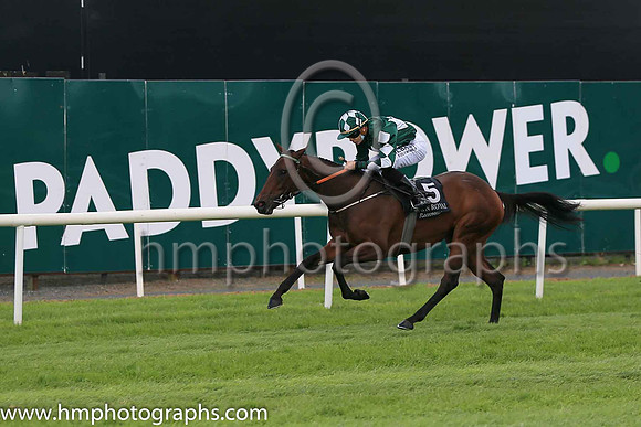 01st Mooneista and R P Whelan ( 5 , Dark green, white diamoands ) Trainer - Jack W Davison , Owner - Mrs Paula Davison