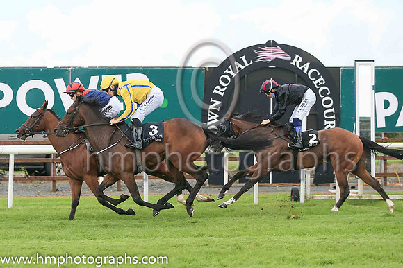 04th Tilia Cordata and L F Roche ( 11 , Dark blue, red epaulettes ) Trainer - M O'Callaghan , Owner - Michael O'Callaghan