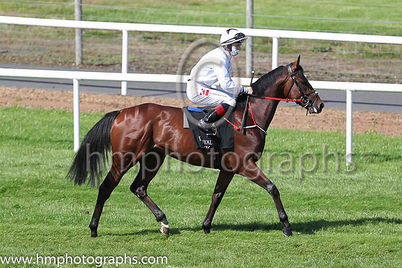 01st A Case Of You and C T Keane ( 5 , White ) Trainer - J C McConnell , Owner - John C McConnell