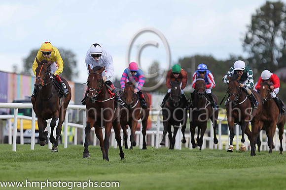 01st A Case Of You and C T Keane ( 5 , White ) Trainer - J C McConnell , Owner - John C McConnell