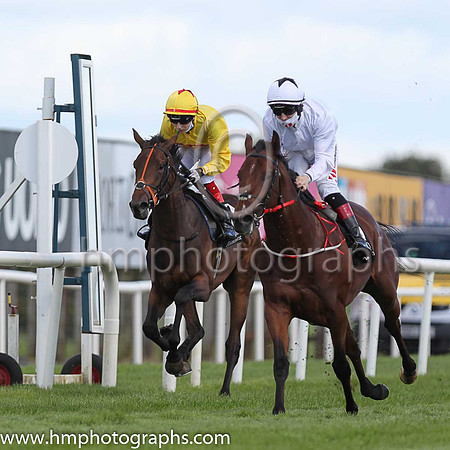 01st A Case Of You and C T Keane ( 5 , White ) Trainer - J C McConnell , Owner - John C McConnell