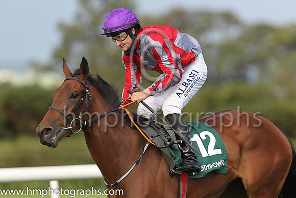 06th Rock Chica and S Foley ( 12 , Grey and red qtrd ) Trainer - T Mullins , Owner - Mrs Helen Mullins