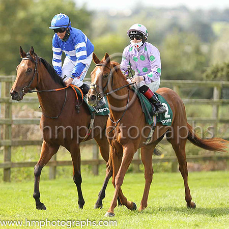 07th Pineapple Express and C T Keane ( 2 , Purple, blue star ) Trainer - G J Power , Owner - Dr Ronan Tynan