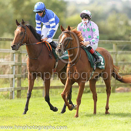 13th Gudmanlarry and G F Carroll ( 10 , Black, white hoop ) Trainer - P Martin , Owner - John M Lynch