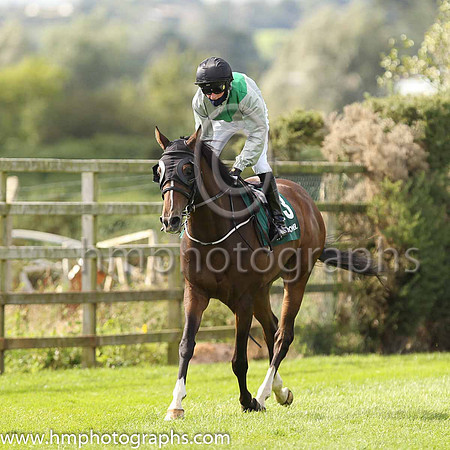 11th Romann and A C Persse ( 13 , Grey, blue sash ) Trainer - P J Flynn , Owner - Oaklands Racing Syandicate