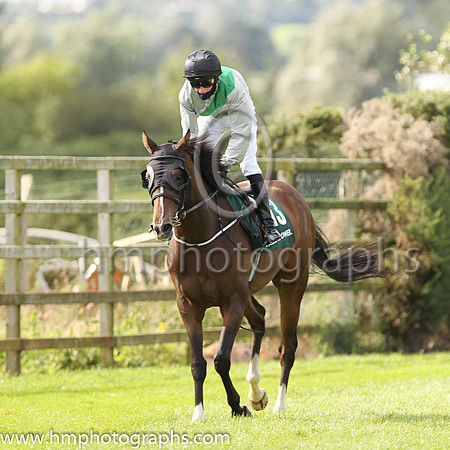 11th Romann and A C Persse ( 13 , Grey, blue sash ) Trainer - P J Flynn , Owner - Oaklands Racing Syandicate
