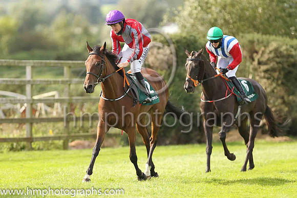 06th Rock Chica and S Foley ( 12 , Grey and red qtrd ) Trainer - T Mullins , Owner - Mrs Helen Mullins