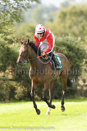 02and Pikaia and M A Enright ( 4 , White, red sash ) Trainer - Mrs D Foster , Owner - Mrs Denise Foster