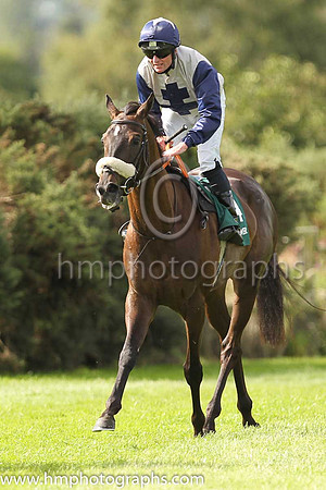 04th Unanswered and Reserve 1 ( 14 , White, black cross ) Trainer - A J Martin , Owner - Newtown Anner Stud Farm Ltd