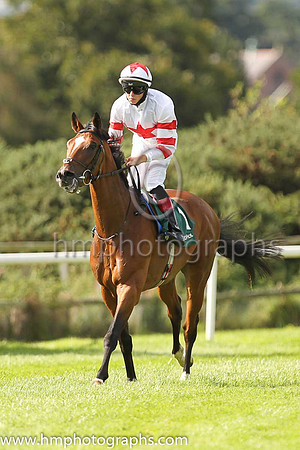 01st Baron Samedi and D McMonagle ( 1 , White, red star ) Trainer - J P O'B rien , Owner - LECH Racing Limited