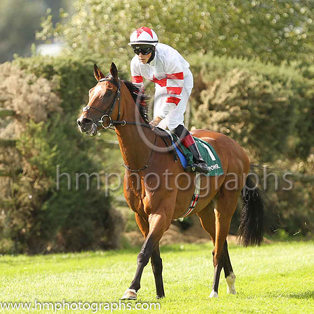 01st Baron Samedi and D McMonagle ( 1 , White, red star ) Trainer - J P O'B rien , Owner - LECH Racing Limited