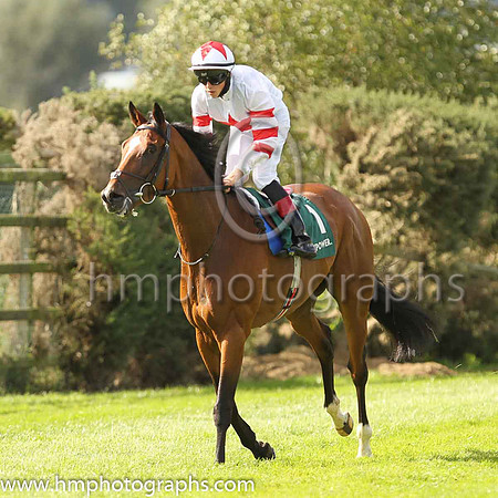 01st Baron Samedi and D McMonagle ( 1 , White, red star ) Trainer - J P O'B rien , Owner - LECH Racing Limited
