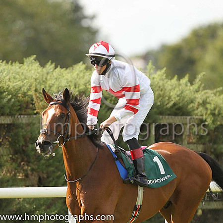 01st Baron Samedi and D McMonagle ( 1 , White, red star ) Trainer - J P O'B rien , Owner - LECH Racing Limited