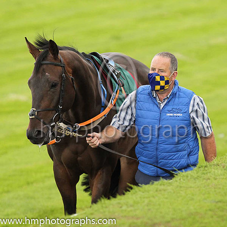 Parade ring at Down Royal