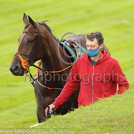 Parade ring at Down Royal