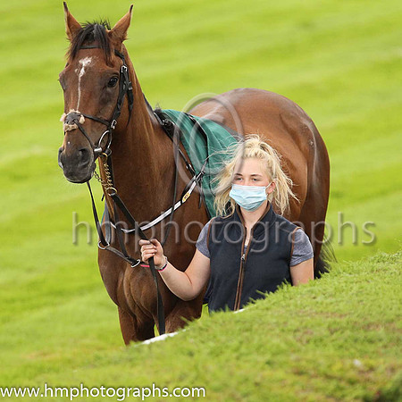 Parade ring at Down Royal