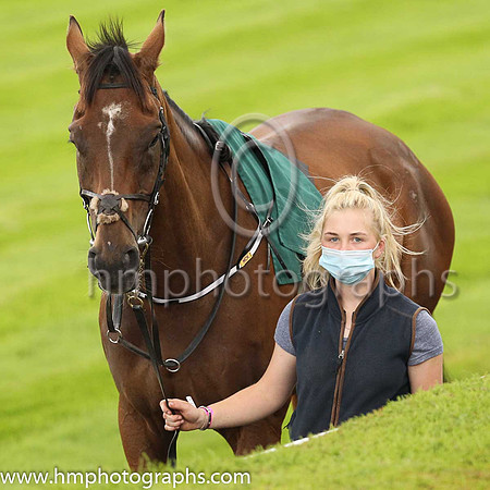 Parade ring at Down Royal