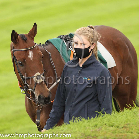 Parade ring at Down Royal