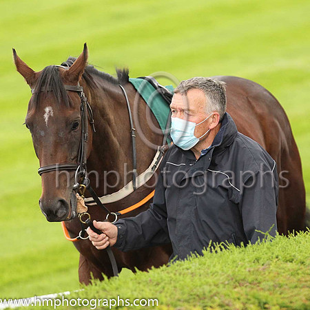 Parade ring at Down Royal