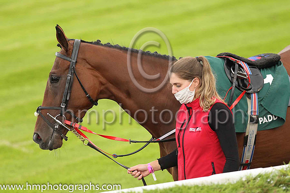 Parade ring at Down Royal