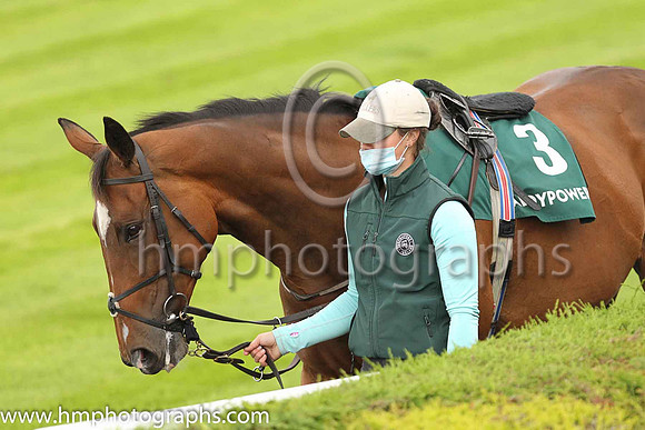 02and Misty Millie and C T Keane ( 3 , Blue, purple star ) Trainer - G Donnelly , Owner - M F O'N eill