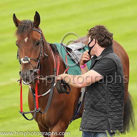 Parade ring at Down Royal