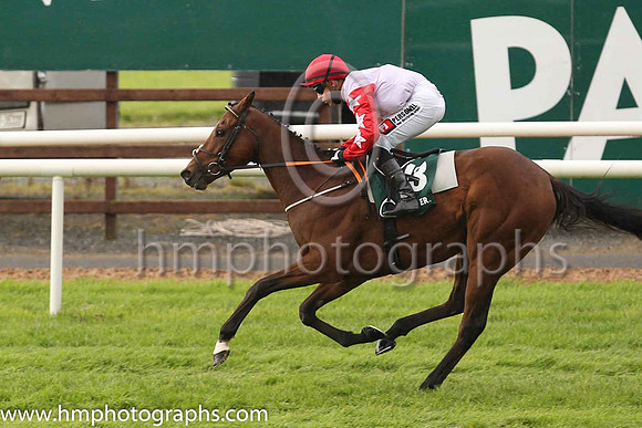 01st Der Mc and L F Roche ( 13 , White ) Trainer - P A Fahy , Owner - IRE Asset Holding Limited