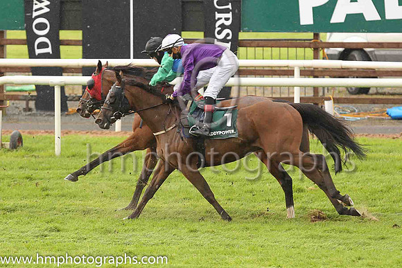 09th Sweet Affection and M P Sheehy ( 1 , Blue, purple diamoands ) Trainer - D K Weld , Owner - J Higgins