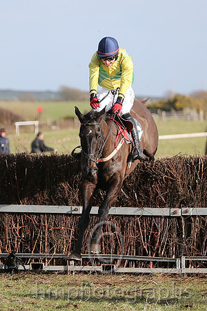 01 Mr Bolt  D H Lavery - Trainer : Sean McParlan, Black and tan check
