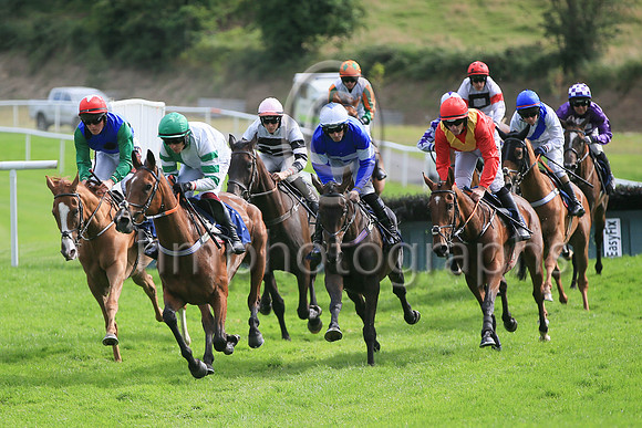 01st Another Choice (1 , green and white hlvs ) Jockey: Paul Townend , Trainer: Matthew J Smith