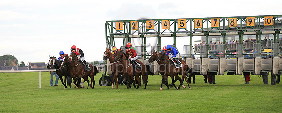 Start of Her Majesty's Plate Stakes at Down Royal