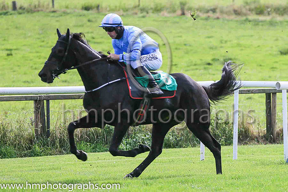 01st The Shunter and  B Hayes ( 5 , Light blue ) Trainer - Emmet Mullins , Owner - Paul Byrne