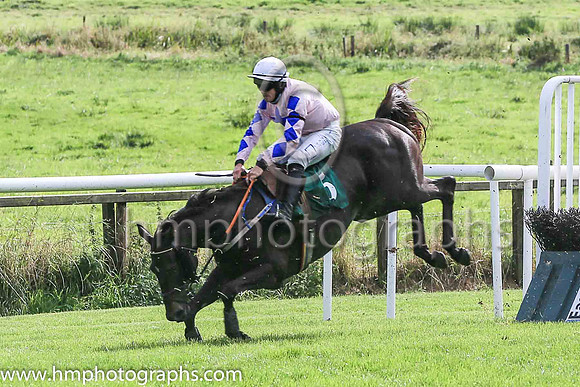 fell Alfred Wegener and C McNamara ( 5 , Pink, blue star ) Trainer - E McNamara , Owner - T Duggan  E McNamara