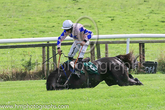 fell Alfred Wegener and C McNamara ( 5 , Pink, blue star ) Trainer - E McNamara , Owner - T Duggan  E McNamara