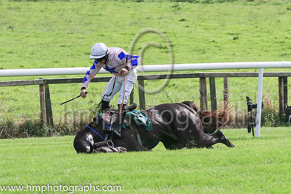 fell Alfred Wegener and C McNamara ( 5 , Pink, blue star ) Trainer - E McNamara , Owner - T Duggan  E McNamara