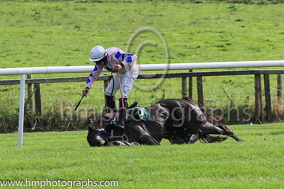 fell Alfred Wegener and C McNamara ( 5 , Pink, blue star ) Trainer - E McNamara , Owner - T Duggan  E McNamara