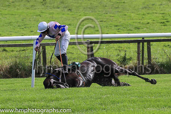 fell Alfred Wegener and C McNamara ( 5 , Pink, blue star ) Trainer - E McNamara , Owner - T Duggan  E McNamara