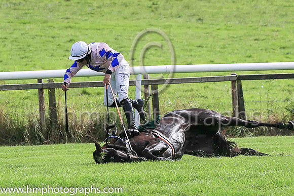 fell Alfred Wegener and C McNamara ( 5 , Pink, blue star ) Trainer - E McNamara , Owner - T Duggan  E McNamara