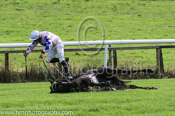fell Alfred Wegener and C McNamara ( 5 , Pink, blue star ) Trainer - E McNamara , Owner - T Duggan  E McNamara