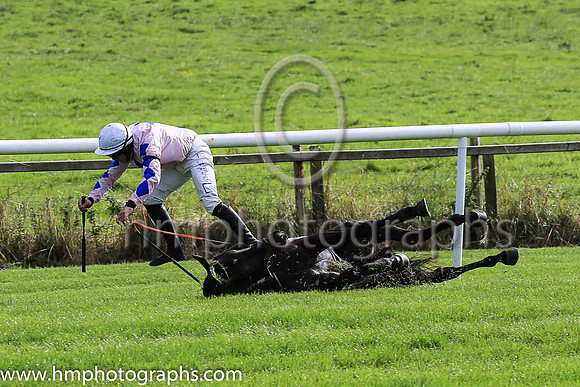 fell Alfred Wegener and C McNamara ( 5 , Pink, blue star ) Trainer - E McNamara , Owner - T Duggan  E McNamara