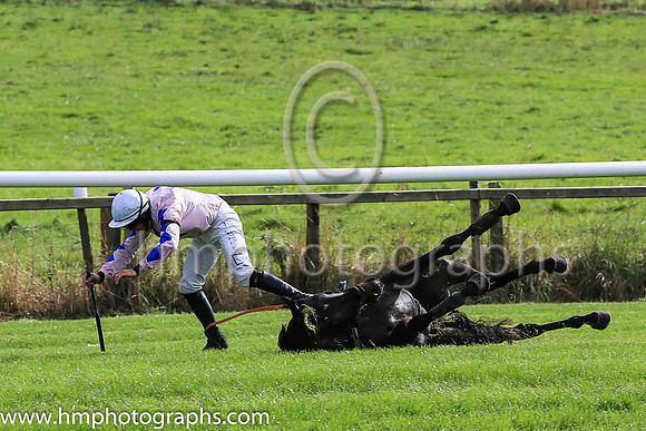 fell Alfred Wegener and C McNamara ( 5 , Pink, blue star ) Trainer - E McNamara , Owner - T Duggan  E McNamara