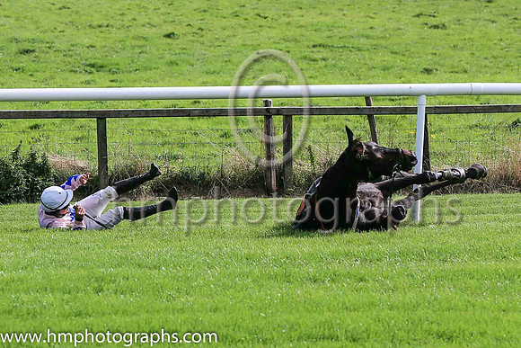 fell Alfred Wegener and C McNamara ( 5 , Pink, blue star ) Trainer - E McNamara , Owner - T Duggan  E McNamara