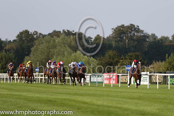 01 Free Eagle and P J Smullen - - 01st (7 ,black, white sleeves, red cap black star ) Trainer - D K Weld